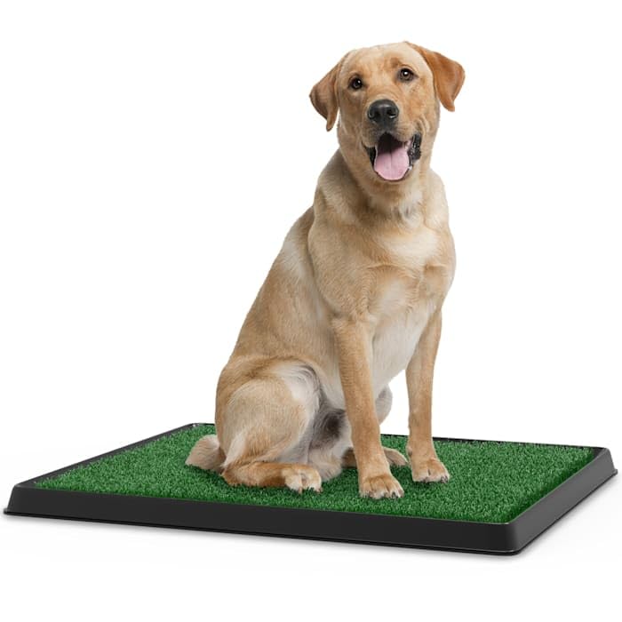 Artificial Grass Potty Trainer Mat 20" L X 25" W N2024