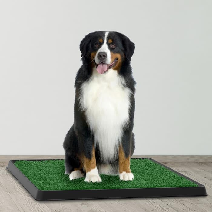 Artificial Grass Potty Trainer Mat 20" L X 25" W N2024