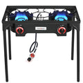 2 Burner Portable Propane Gas Grill E2259