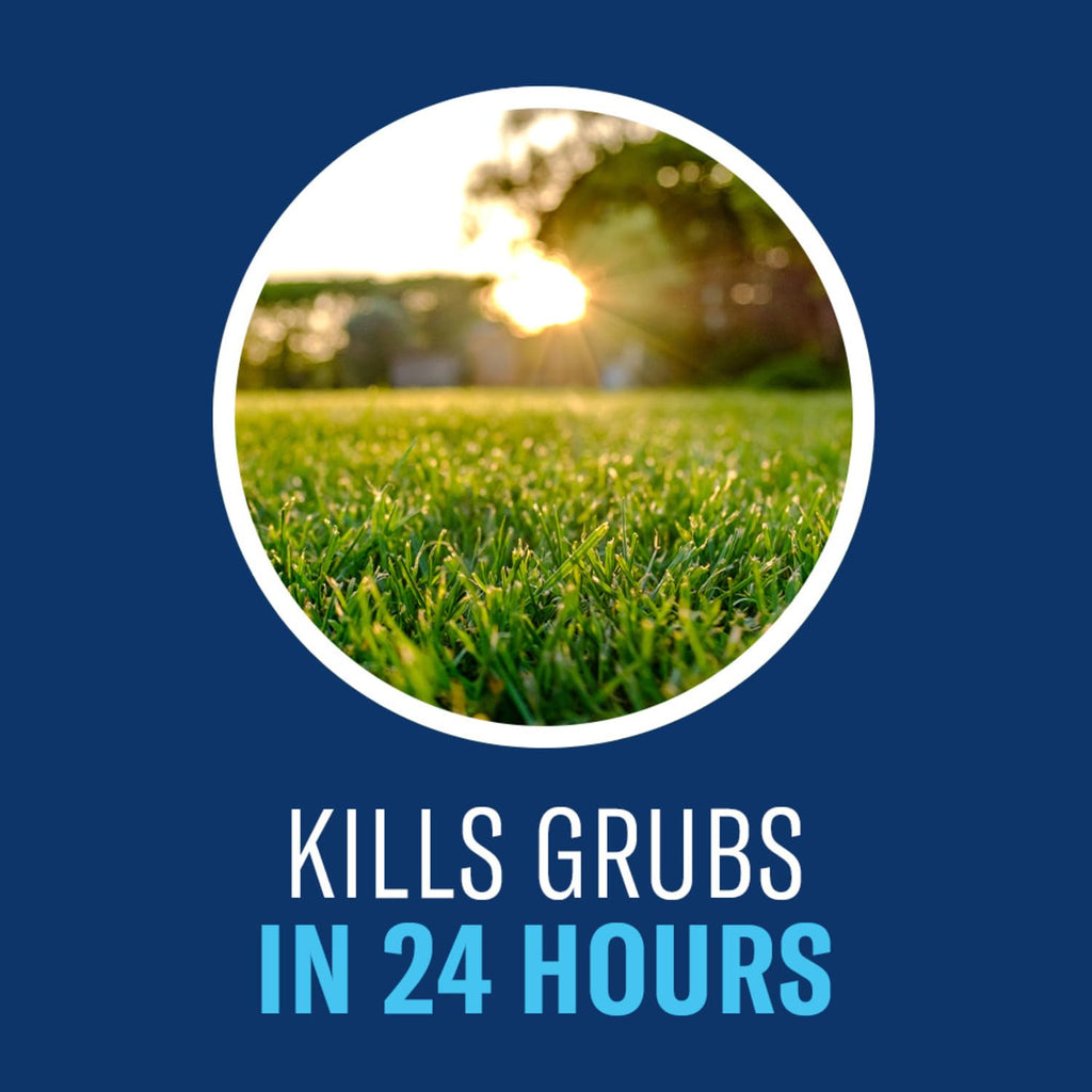 24-Hour Insect Killer Outdoor Granules S332