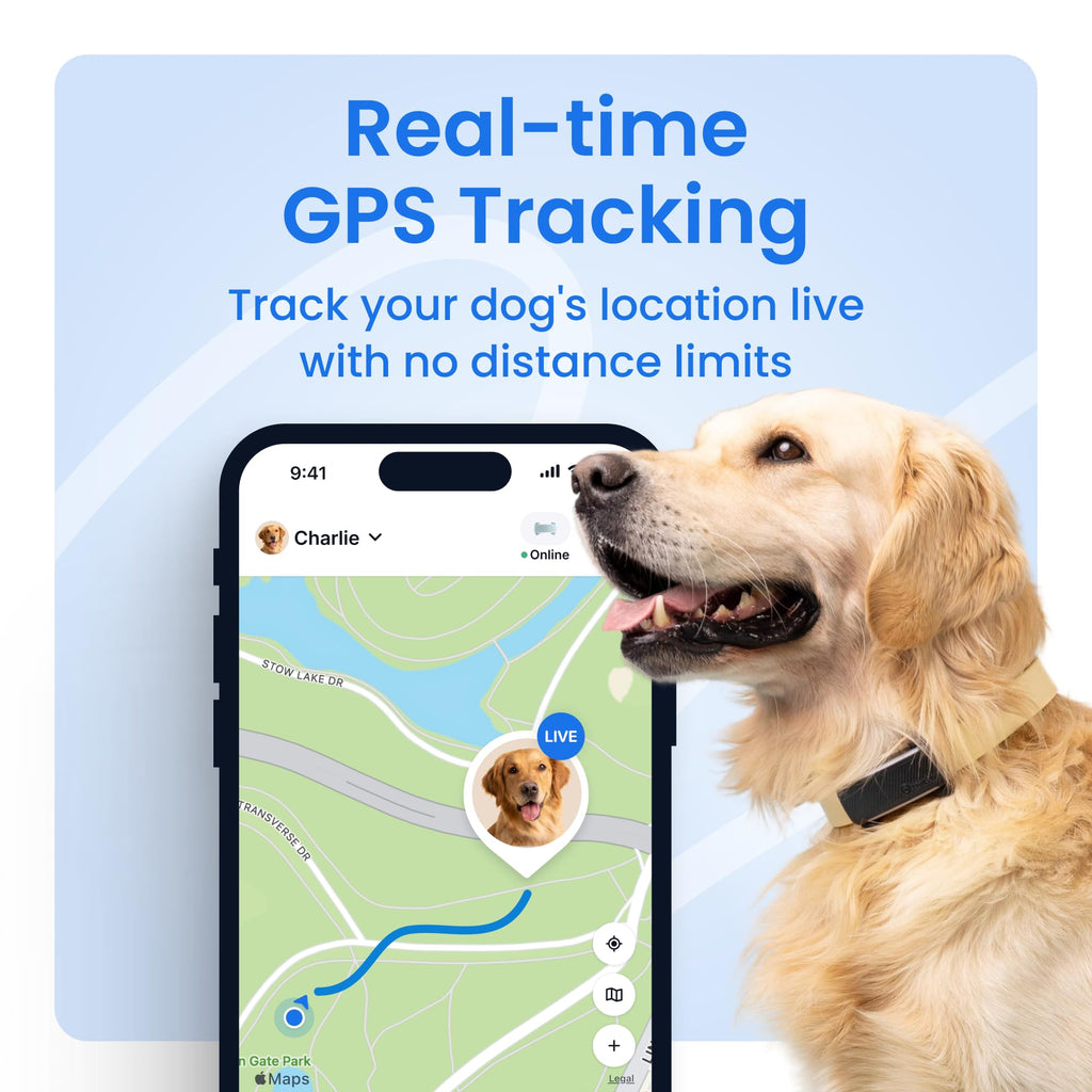 Black Smart Dog GPS Tracker with Virtual Fence G873