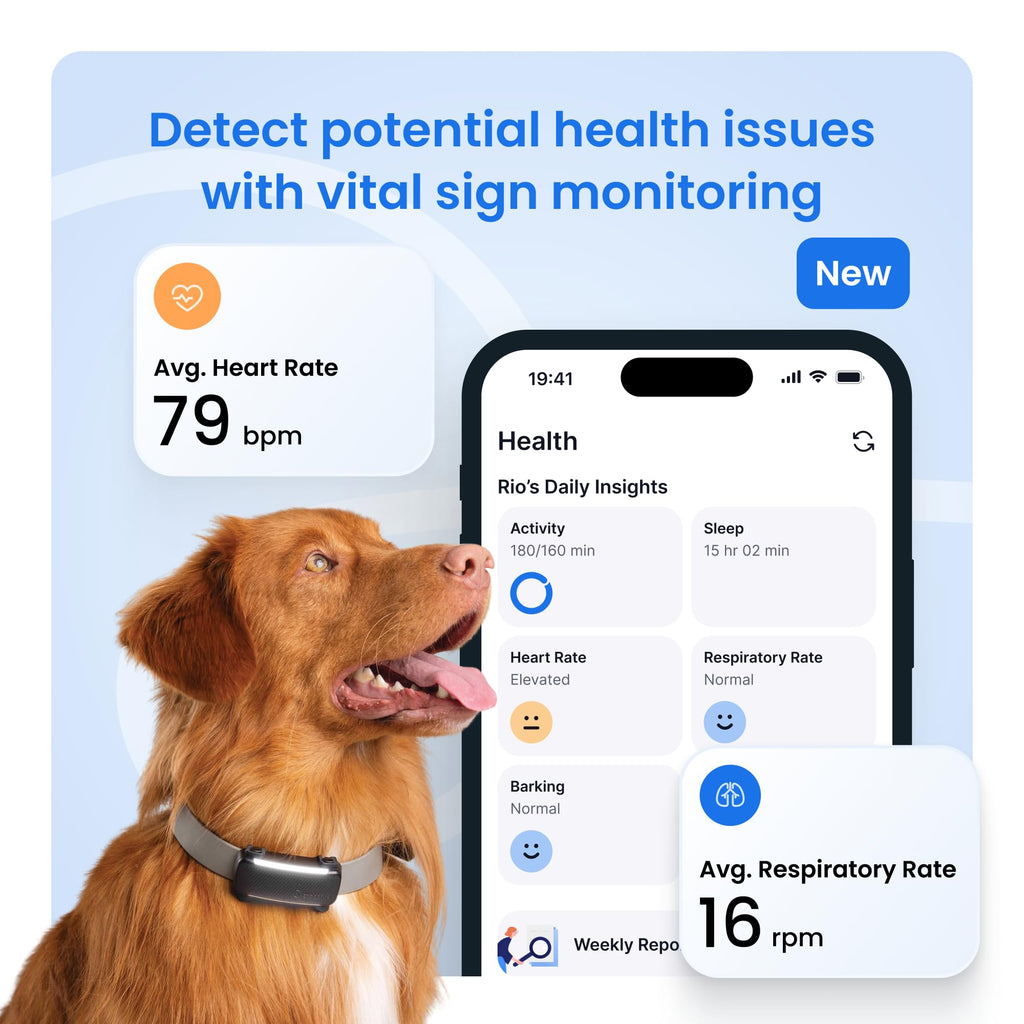 Black Smart Dog GPS Tracker with Virtual Fence G873