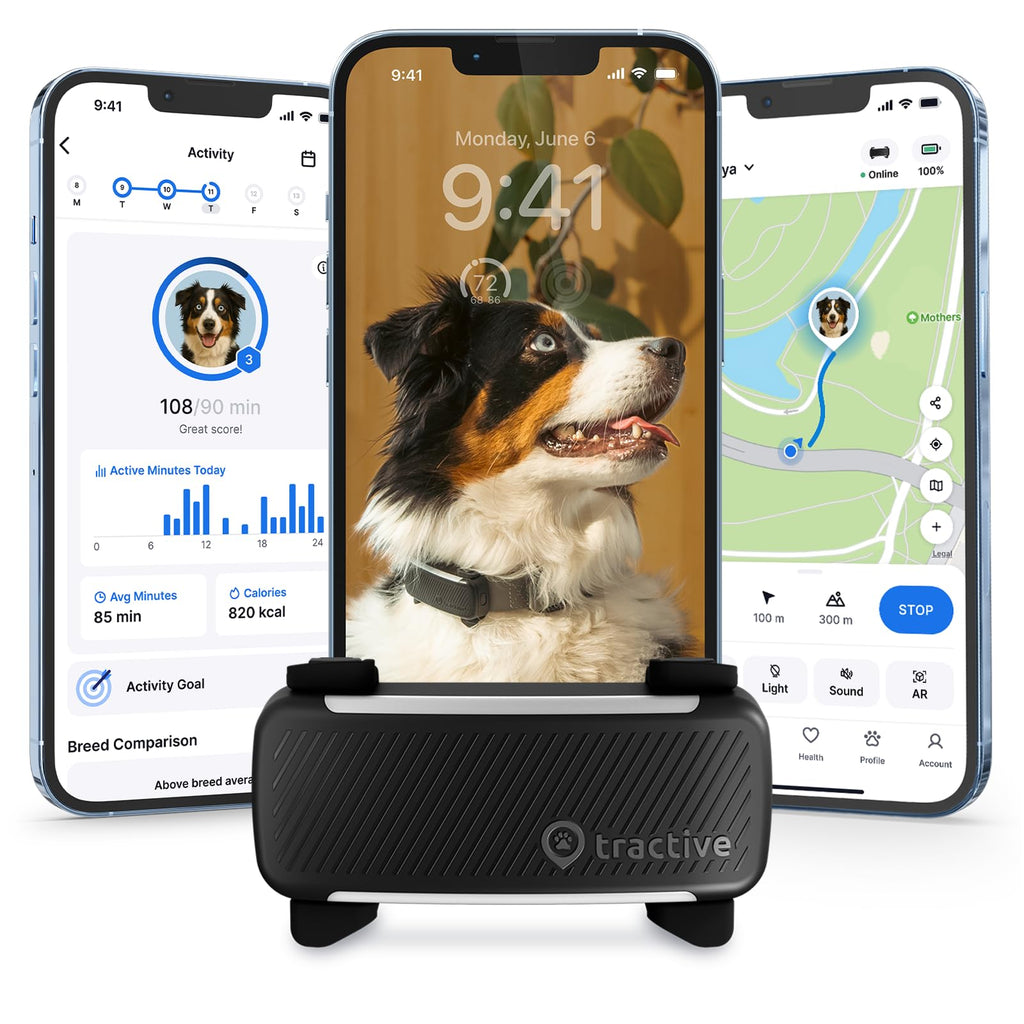 Black Smart Dog GPS Tracker with Virtual Fence G873