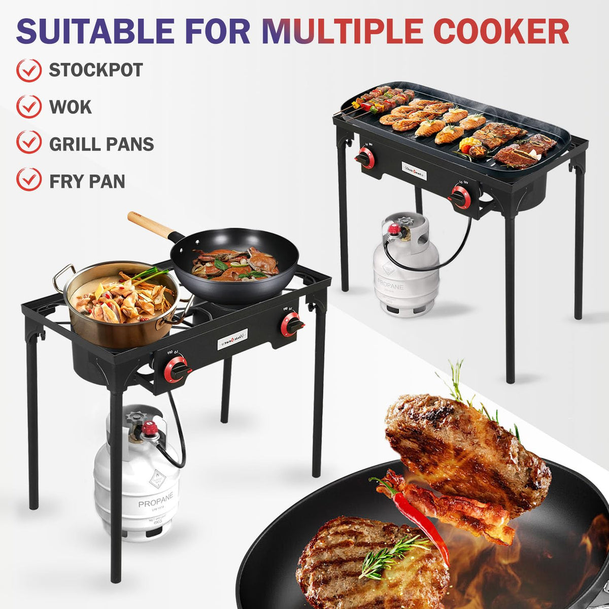 2 Burner Portable Propane Gas Grill E2259