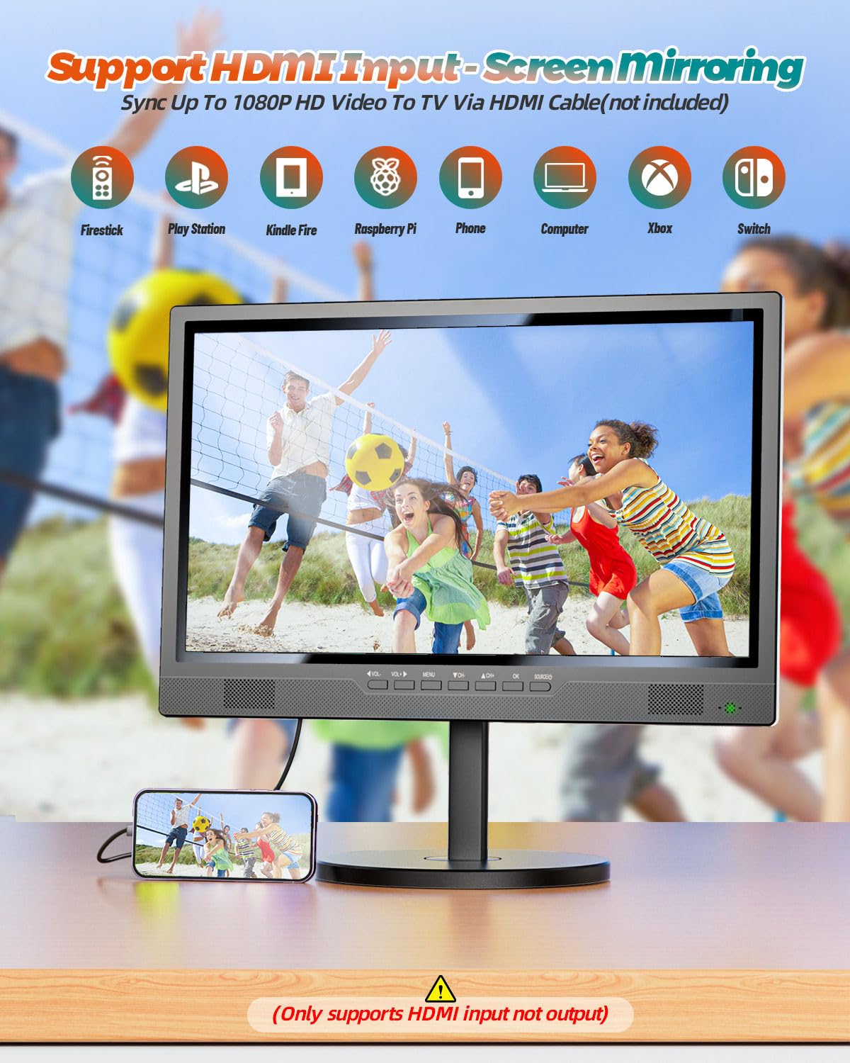 Portable TV with Antenna V9318