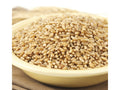 Hard Wheat Berries 50-Pound W544