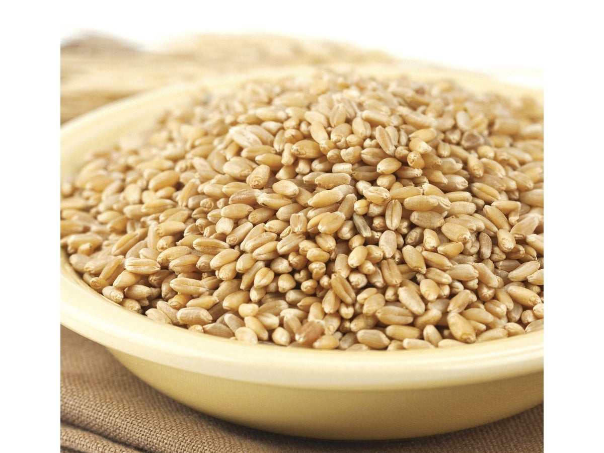 Hard Wheat Berries 50-Pound W544