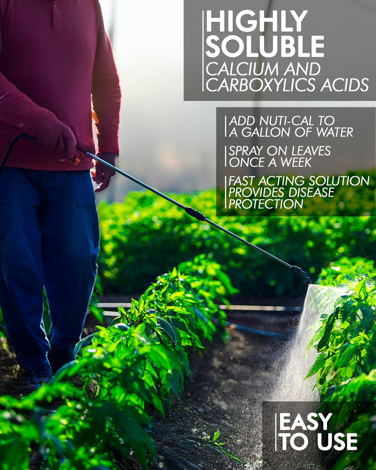 Liquid Calcium Fertilizer for Tomatoes and Vegetables B8938