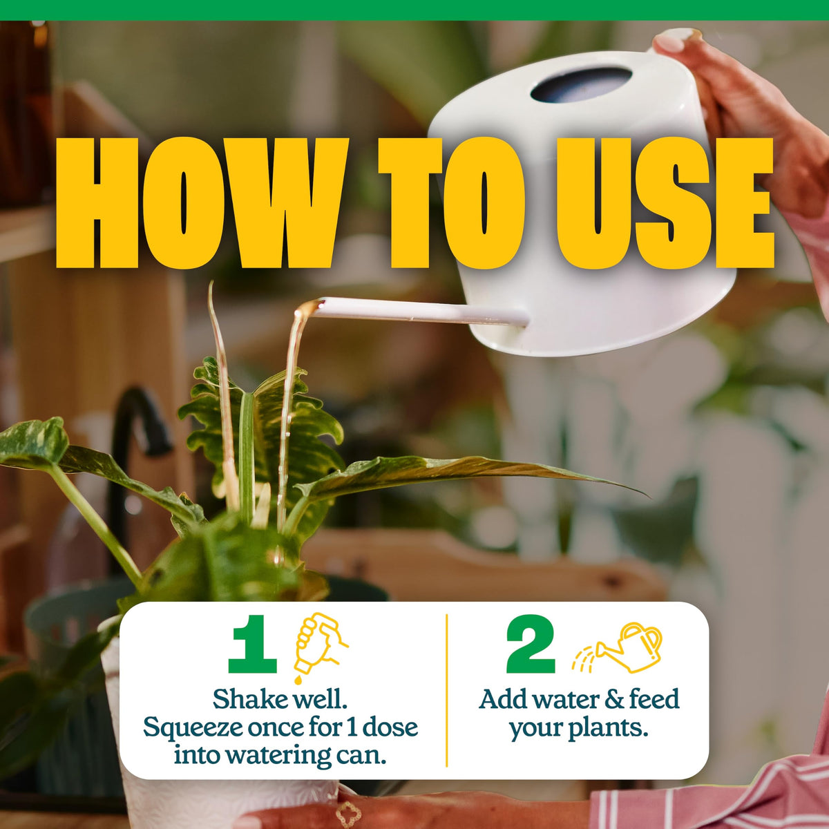All-Purpose Plant Food 2-3-2, 32 Oz U276822