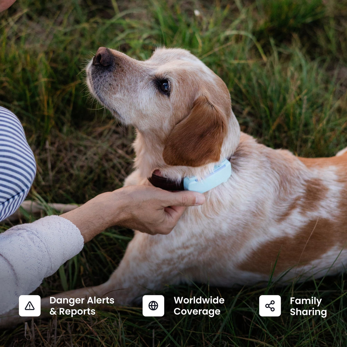 Black Smart Dog GPS Tracker with Virtual Fence G873