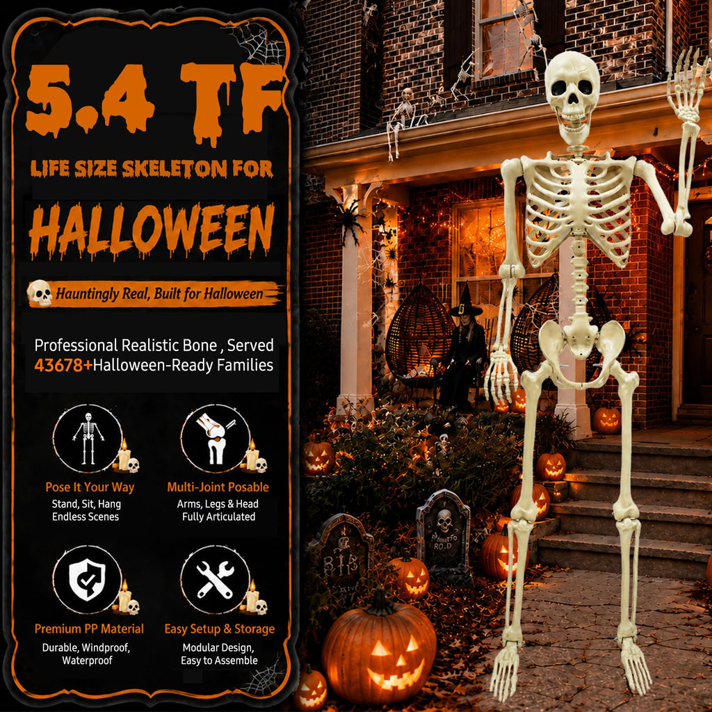 Life Size Skeleton J198