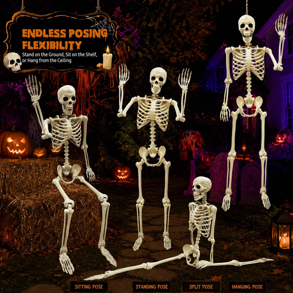 Life Size Skeleton J198