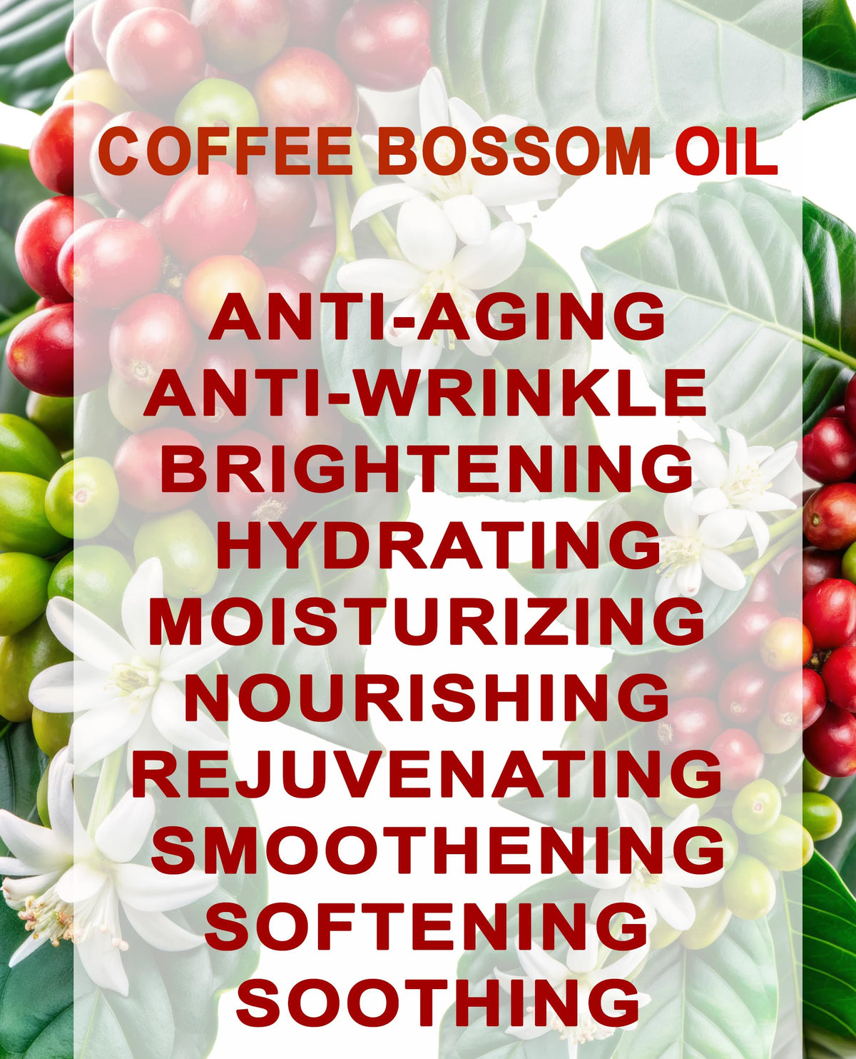 100% Natural Coffee Blossom Oil 1 Fl.oz. S37266