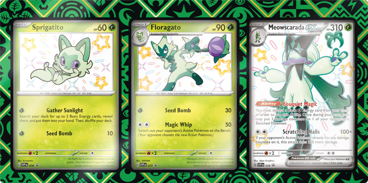 Pokemon TCG Premium Collection S593