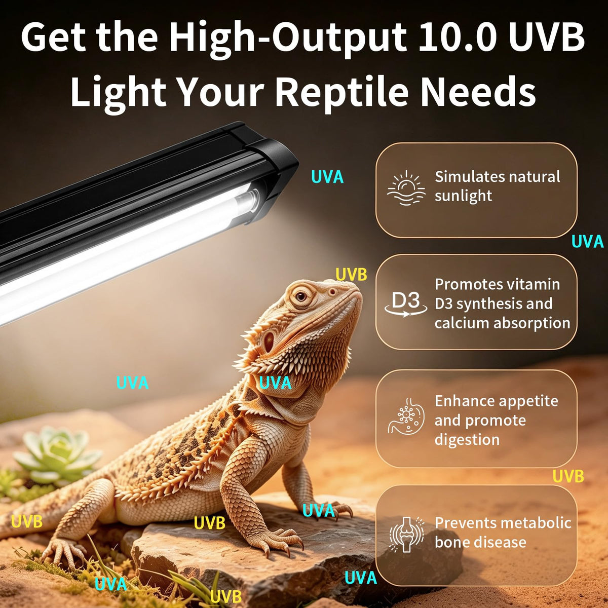 8W UVB Reptile Light Fixture Combo Kit with Timer J6608