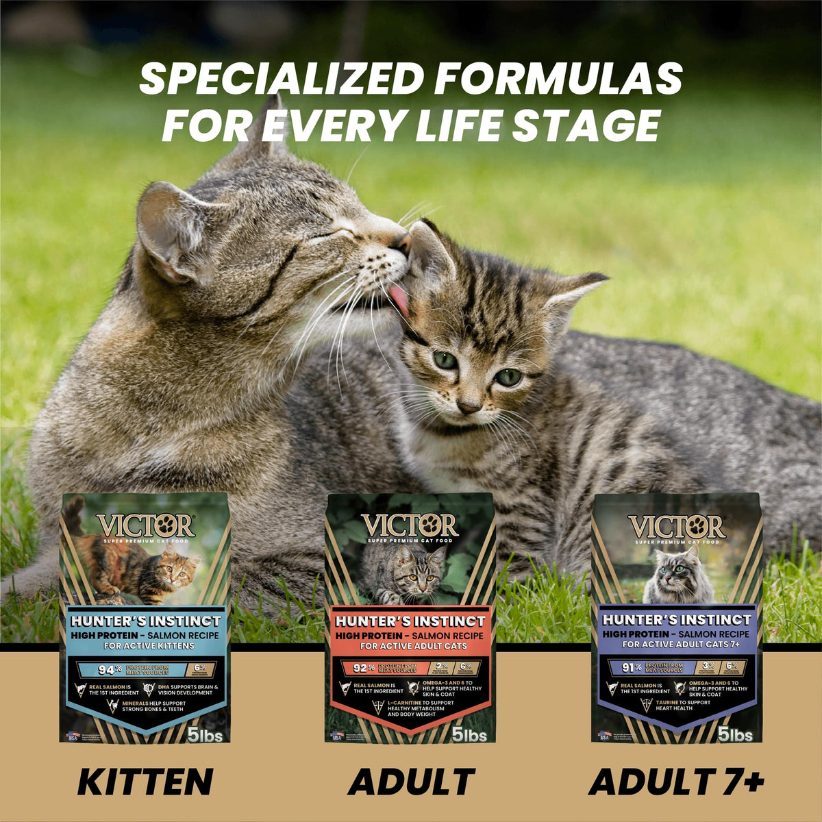 High Protein Salmon Recipe for Kittens, 5lb Y3168