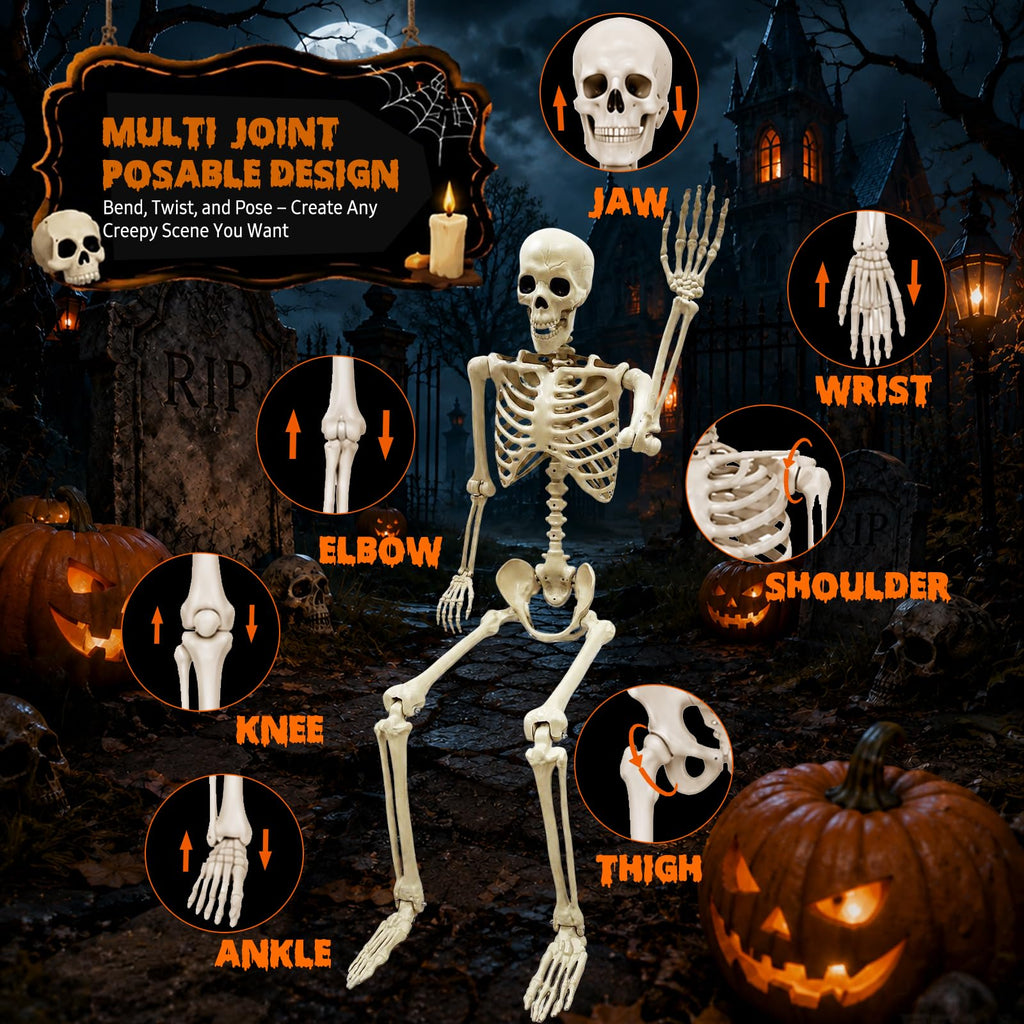Life Size Skeleton J198