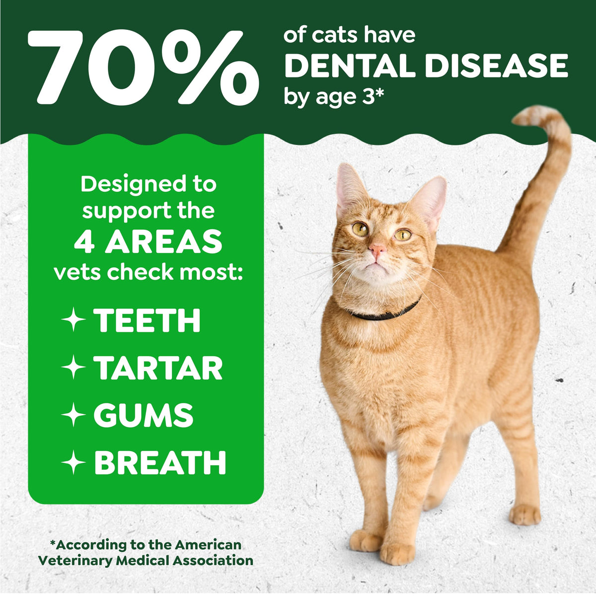 Catnip Flavor Dental Cat Treats 4.6 oz I684844