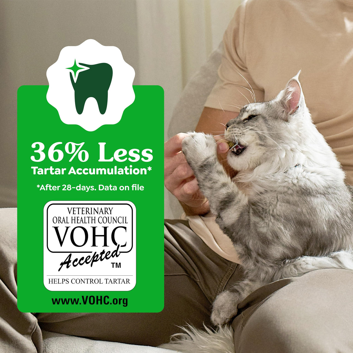 Catnip Flavor Dental Cat Treats 4.6 oz I684844