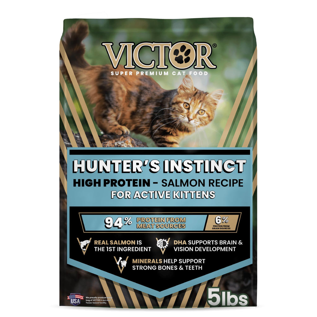 High Protein Salmon Recipe for Kittens, 5lb Y3168