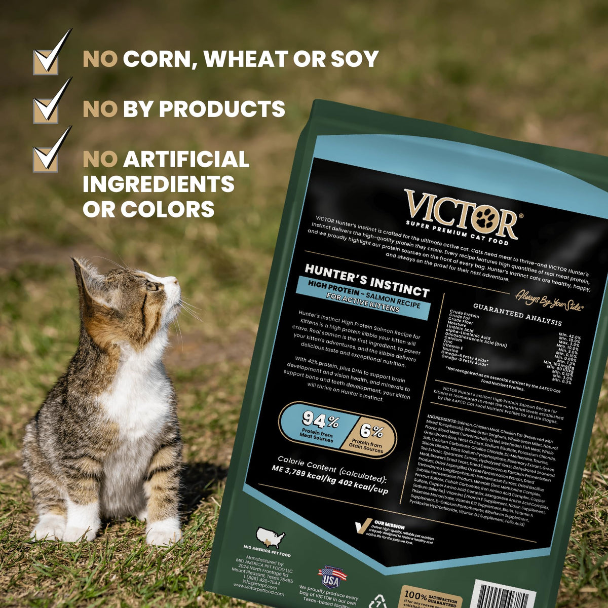 High Protein Salmon Recipe for Kittens, 5lb Y3168