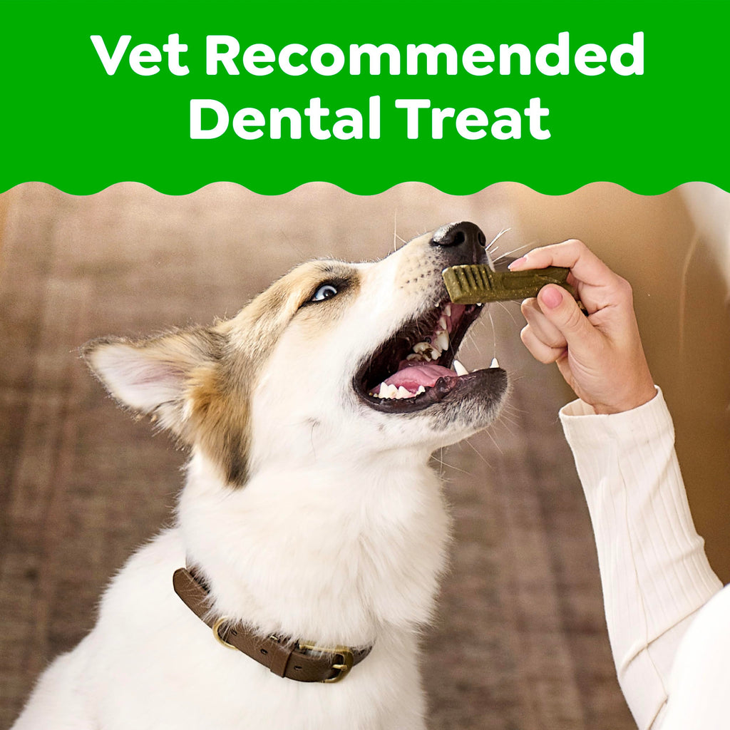 Large Natural Dental Dog Treats Sweet Potato Flavor 8 Count Z784