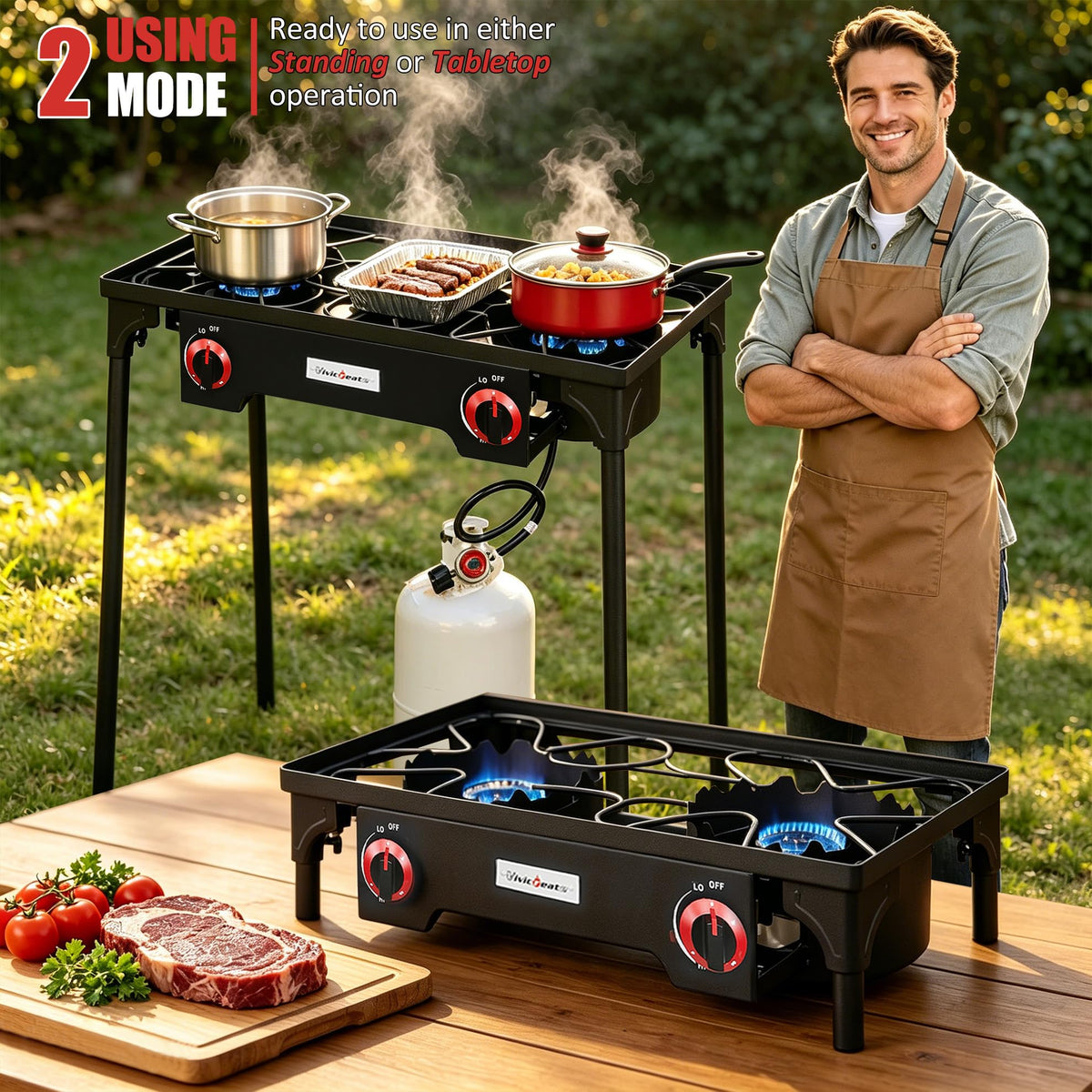 2 Burner Portable Propane Gas Grill E2259