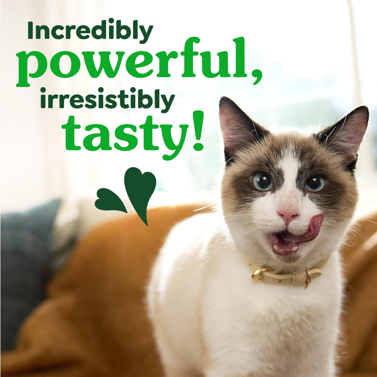 Catnip Flavor Dental Cat Treats 4.6 oz I684844
