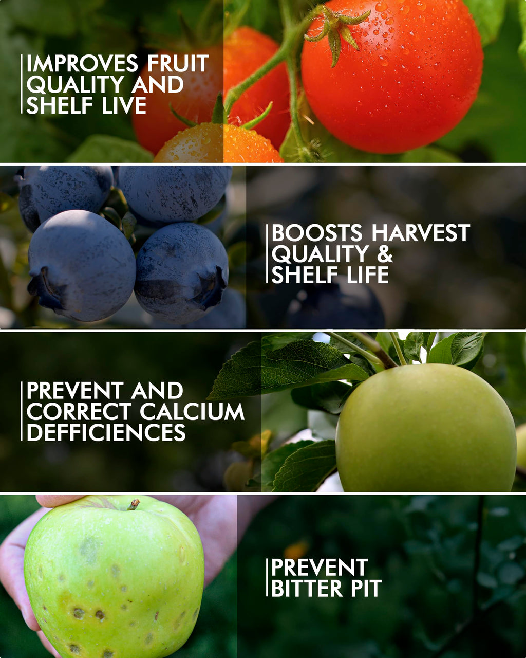 Liquid Calcium Fertilizer for Tomatoes and Vegetables B8938