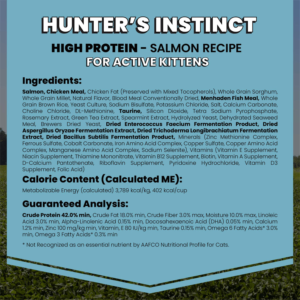 High Protein Salmon Recipe for Kittens, 5lb Y3168