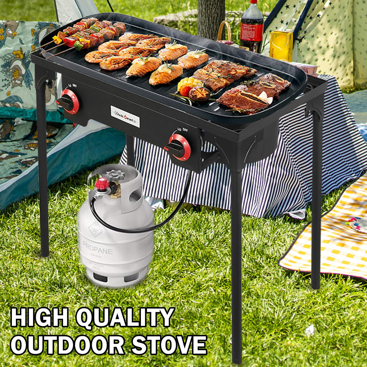 2 Burner Portable Propane Gas Grill E2259