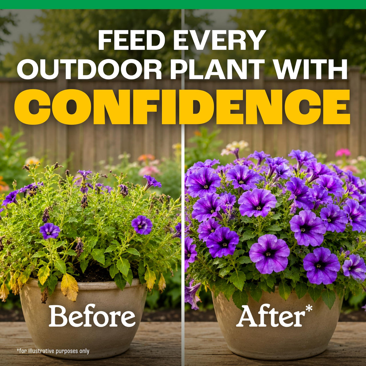 All-Purpose Plant Food 2-3-2, 32 Oz U276822