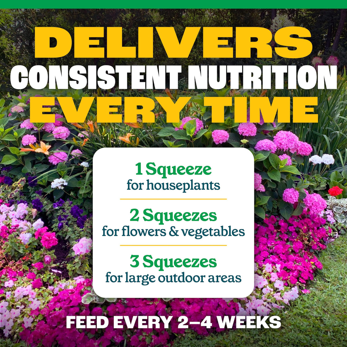 All-Purpose Plant Food 2-3-2, 32 Oz U276822