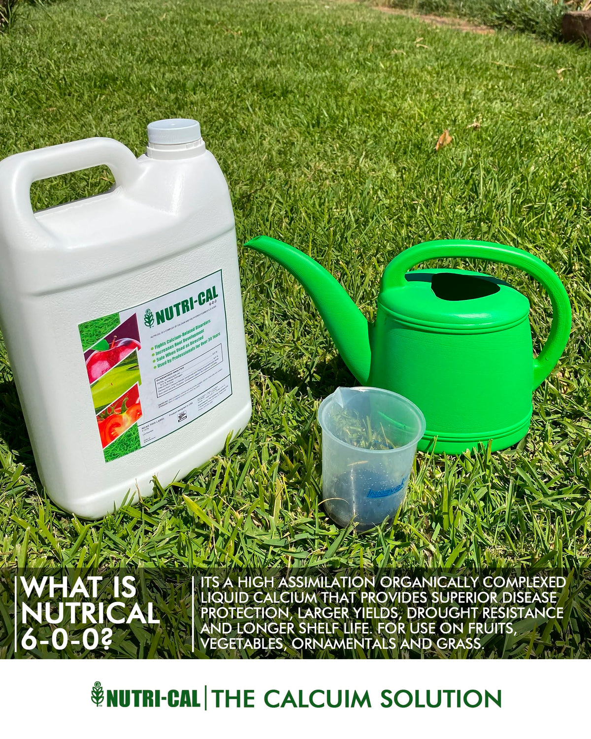 Liquid Calcium Fertilizer for Tomatoes and Vegetables B8938