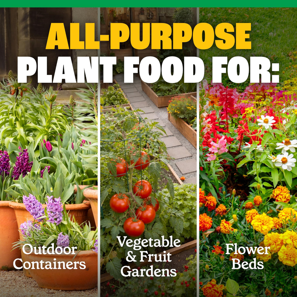 All-Purpose Plant Food 2-3-2, 32 Oz U276822