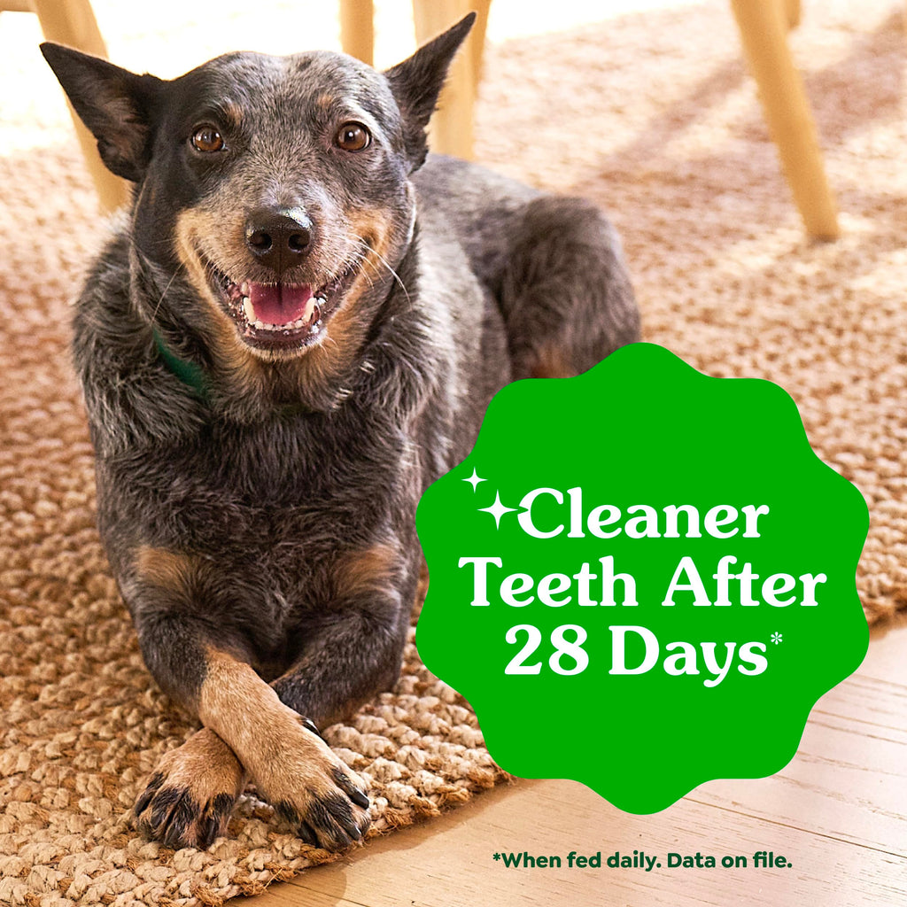 Large Natural Dental Dog Treats Sweet Potato Flavor 8 Count Z784