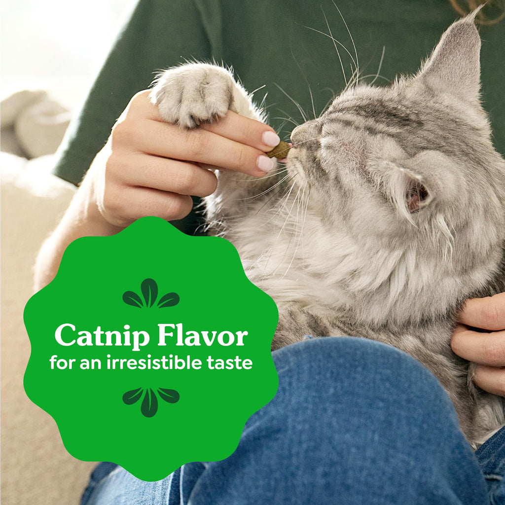 Catnip Flavor Dental Cat Treats 4.6 oz I684844
