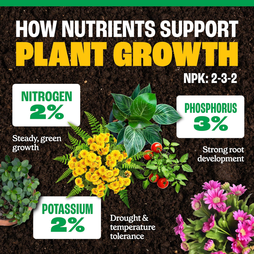 All-Purpose Plant Food 2-3-2, 32 Oz U276822