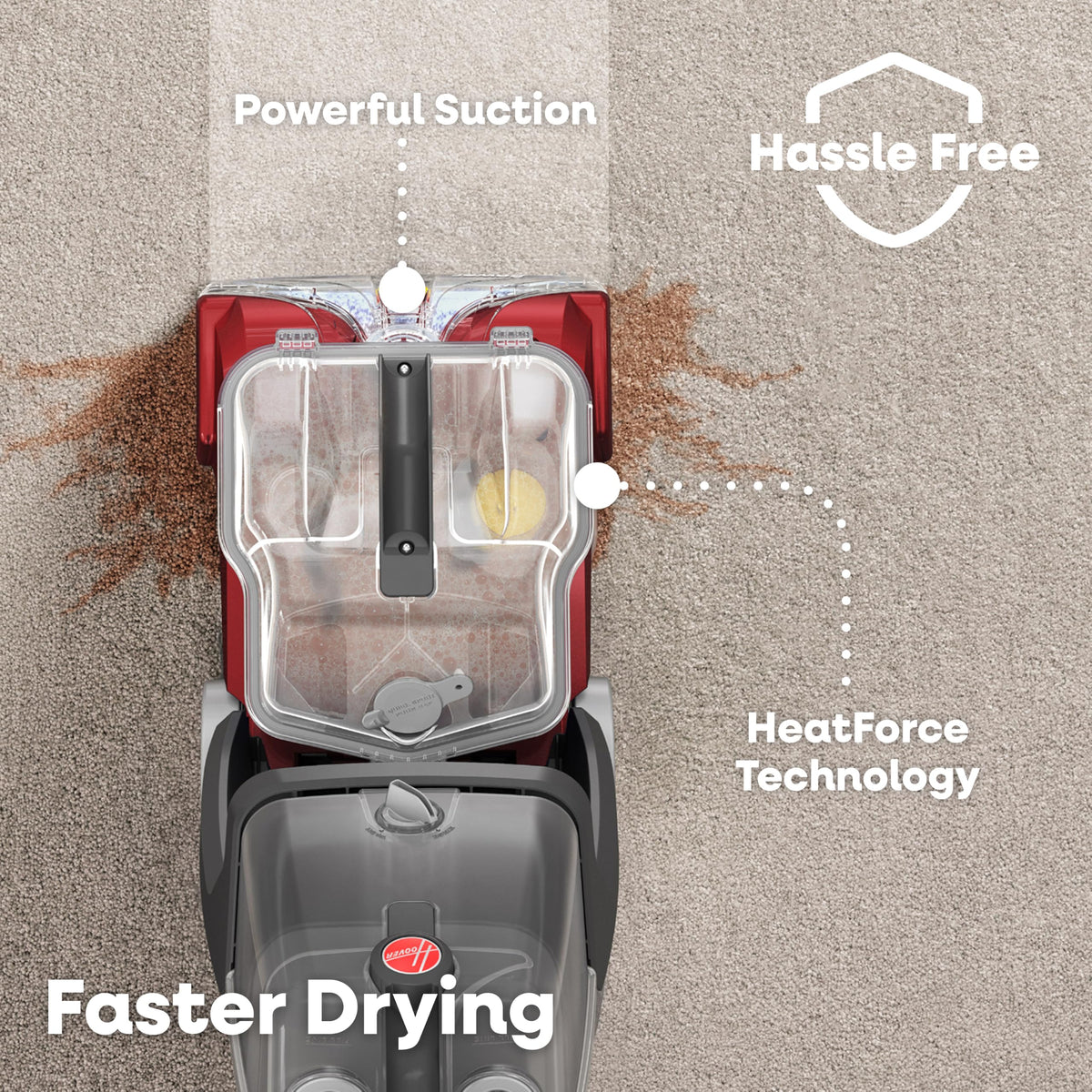 Carpet Cleaner Machine with Pet & Upholstery Tools I404